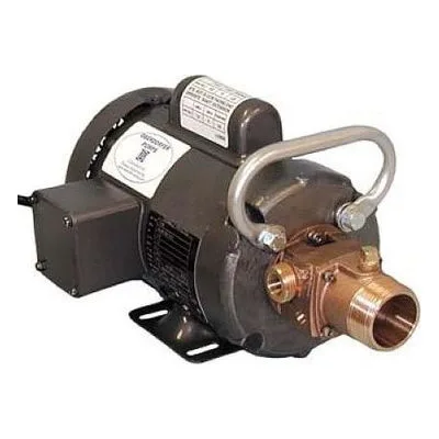 Oberdorfer Pump 214M