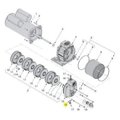 Berkeley Pump 121P0810 Water System Parts
