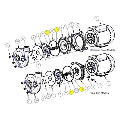 AMT Pump Repair Part 1642-421-00, 0.63 EPR/CAR/CER TYPE 21 SEAL Assembly 502 503 Pumps