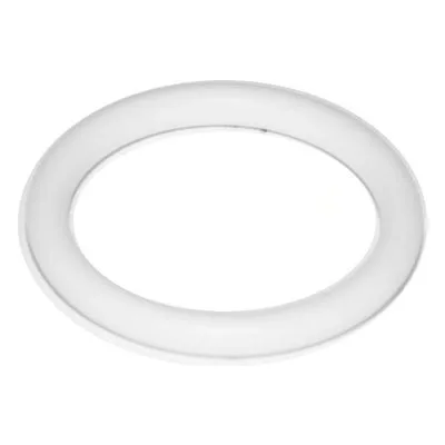 Yamada Pumps Part # 643025 O RING 25.7MM X 3.5MM PTFE