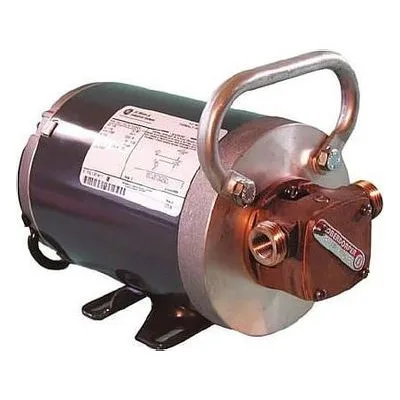 Oberdorfer Pump N211D-04