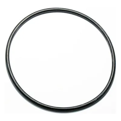 Yamada Pumps Part # 640080 O RING 149.3MM X 5.7MM B70