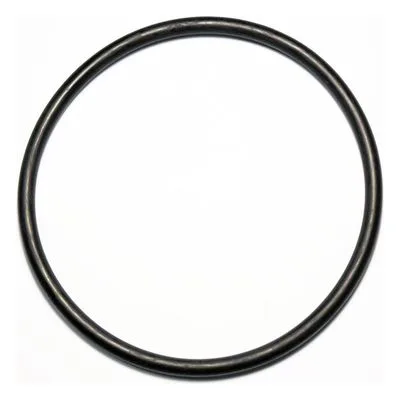 Yamada Pumps Part # 640070 O RING 109.3MM X 5.7MM B70