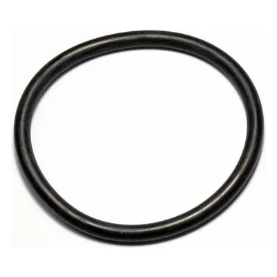 Yamada Pumps Part # 640063 O RING 79.3MM X 5.7MM B70