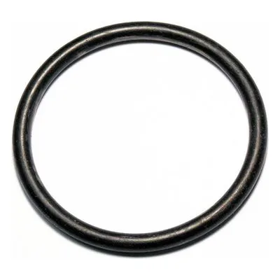 Yamada Pumps Part # 640060 O RING 69.3MM X 5.7MM B70