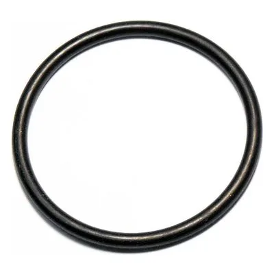 Yamada Pumps Part # 640055 O RING 59.7MM X 5.7MM B70