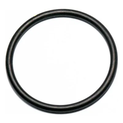 Yamada Pumps Part # 640045 O RING
