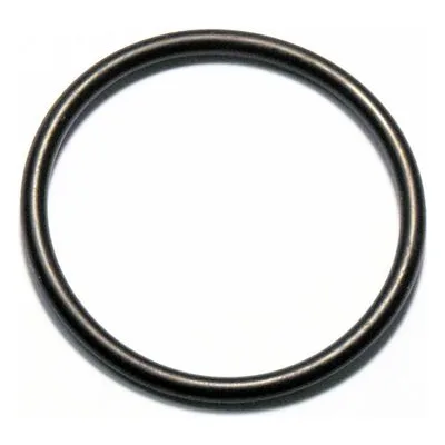 Yamada Pumps Part # 640133 O RING G40