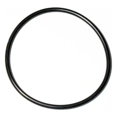 Yamada Pumps Part # 642138 O RING