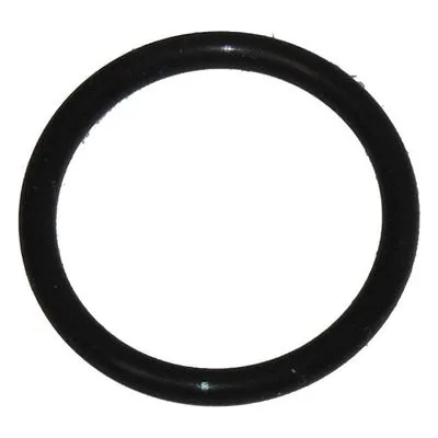 Yamada Pumps Part # 685179 O RING