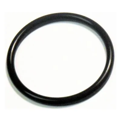 Yamada Pumps Part # 685181 O RING