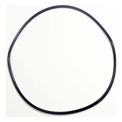 Yamada Pumps Part # 685183 O-RING