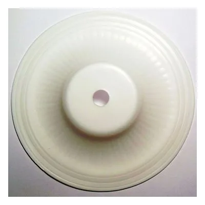 Yamada Pumps Part # YA0113 DIAPHRAGM 25 GORE PTFE