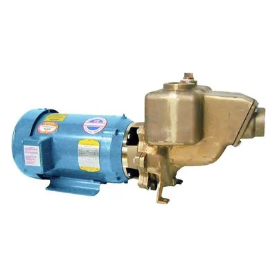 Ampco Pumps Company ABRC2-33-210 Positive Displacement Pumps & Parts