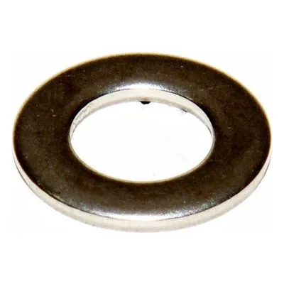 Yamada Pumps Part # 631329 WASHER FLAT M8 SS DIN 125