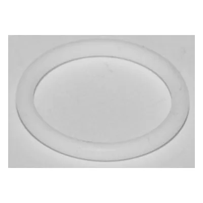 Yamada Pumps Part # 643130 O RING 24.4MM X 3.1MM PTFE