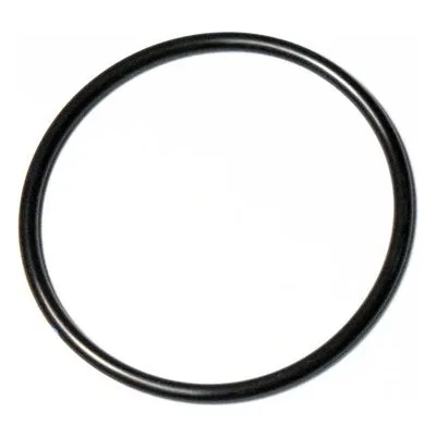Yamada Pumps Part # 642136 O RING VITON