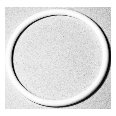Yamada Pumps Part # 643063 O RING 79.6MM X 5.7MM PTFE