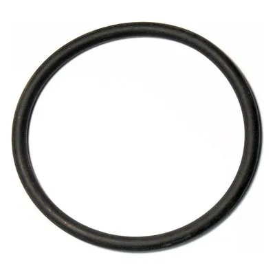 Yamada Pumps Part # 642063 O RING 79.3MM X 5.7MM V75