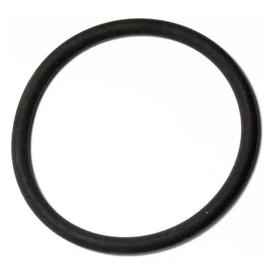 Yamada Pumps Part # 642060 O RING 69.3MM X 5.7MM V75