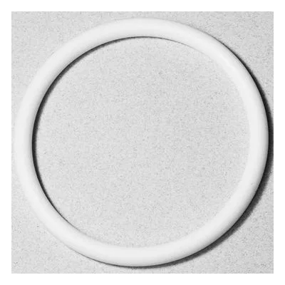 Yamada Pumps Part # 643059 O RING 66.6MM X 5.7MM PTFE