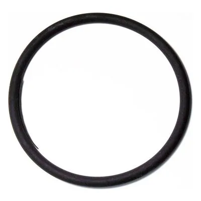 Yamada Pumps Part # 642065 O RING 89.3MM X 5.7MM V75