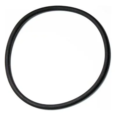 Yamada Pumps Part # 642070 O RING 109.3MM X 5.7MM V75