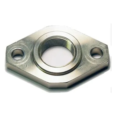 Yamada Pumps Part # 714089 FLANGE AD-25SS NPT