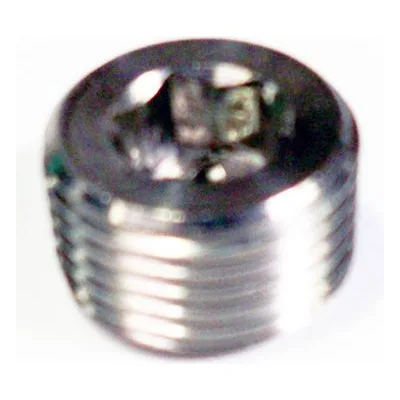 Yamada Pumps Part # 710914 PLUG 10SS