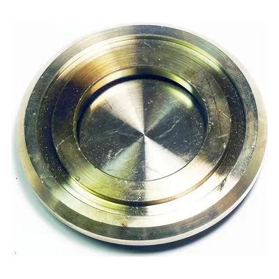 Yamada Pumps Part # 711908-HP VALVE SEAT 40HP