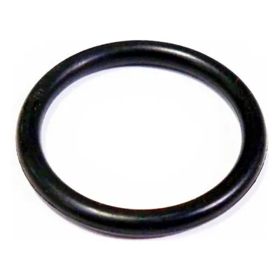 Yamada Pumps Item Code: 685453 - O RING 18.8MM X 2.4MM.
