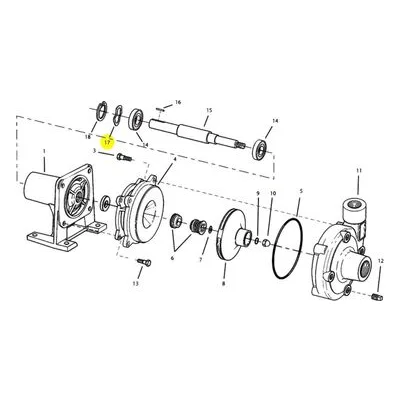 AMT Pump Repair Part 1806-023-00, WAVE WASHER 1.62 X 1.26 W1621019. 4897, 4906 & 4907 Pedestal Pumps.