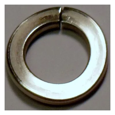 Yamada Pumps Part # 631938 WAVE WASHER M12 SUS