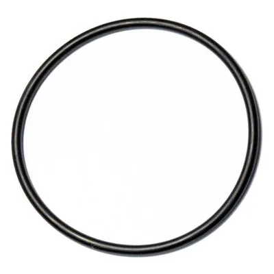 Yamada Pumps Part # 640138 O RING (64.5X3.0MM)