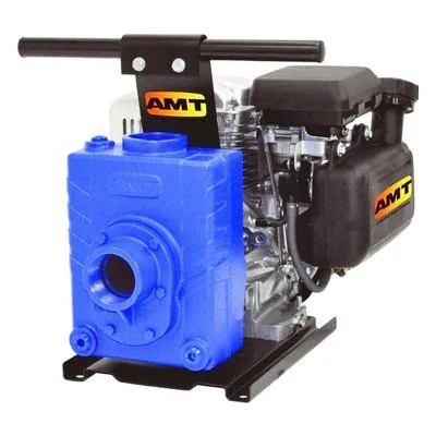 AMT Pump Company 4226-95 2" NPT Self-Priming Honda GX160 Engine Driven AG/Dewatering Pump, by Gorman-Rupp.