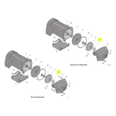 Berkeley Pump C23-19 Water System Parts