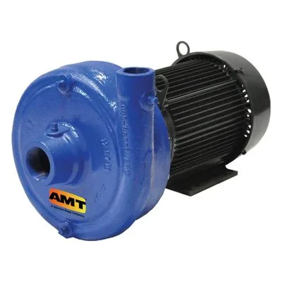 AMT Pump Company 4201-95 1750 RPM Cast Iron Straight Centrifugal Pump, by Gorman-Rupp.