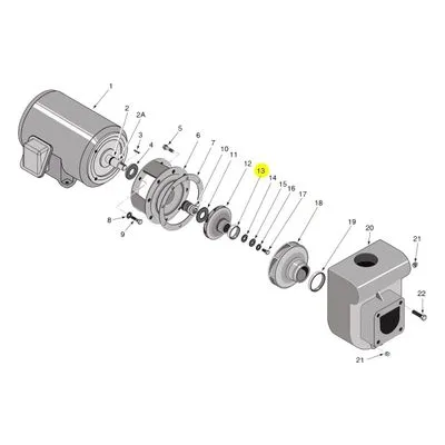 Berkeley Pump J23-5 Water System Parts