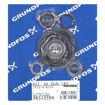 Grundfos Pumps Model 96513599 CRT2/4 Shaft Seal & Gasket  AUUV-Mfg >0335