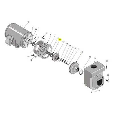 Berkeley Pump C20-101 Water System Parts
