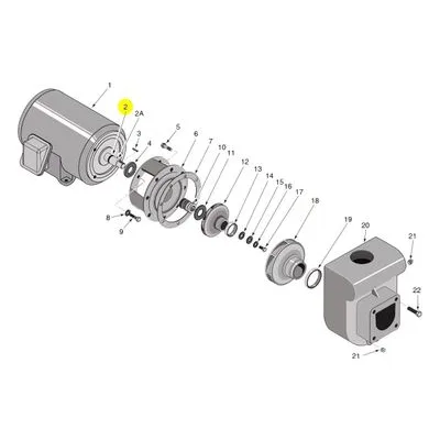 Berkeley Pumps Repair Part - O-RING. Catalog Number: U9-265. A Pentair Brand.