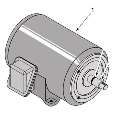 Berkeley Pump C218-179BD Replacement Motor