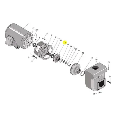 Berkeley Pump C5-246 Water System Parts