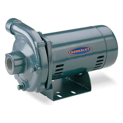 Berkeley Pumps S39490-99 Pentair CP Series Medium Head Cast Iron Centrifugal Pump, CENT PUMP-0005 115/230 MHCP1MPS.
