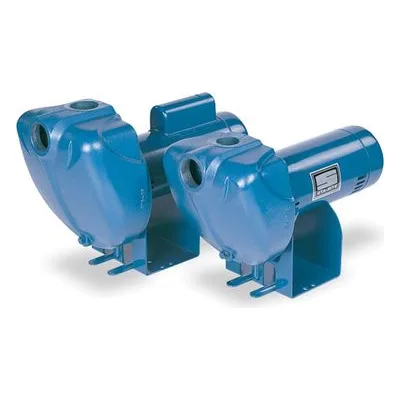 Pentair DS3HF-01MS1 StaRite DS3 Centrifugal Pump, CENT PUMP 1.5HP 1PH SPRIN TEFC.