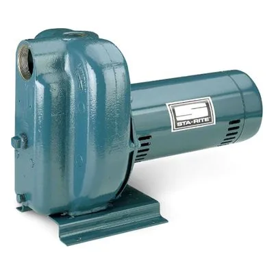 Pentair DS2HHG-53LMS2 StaRite DS2 Centrifugal Pump, CENT PUMP 2.5HP HI HD TEFC 230V 1PH 60HZ.