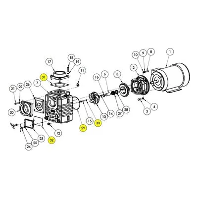 AMT Pumps 4870-301-90 GASKET KIT VITON