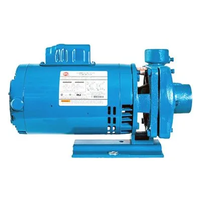 Crane Pumps & Systems 10G6-1-1/4-AB-MJ Burks G6-1-1/4 Series Close Coupled Centrifugal Pump, All Bronze.