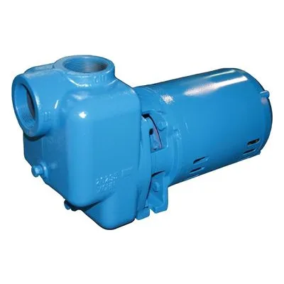 Crane Pumps & Systems X5WST5-AI-ME Burks WST5 Series Self-Priming Centrifugal Pump, All Iron.