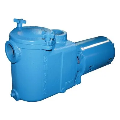 Crane Pumps & Systems X5WST5X-AI-ME Burks W5X Series Self-Priming Centrifugal Pump, All Iron.